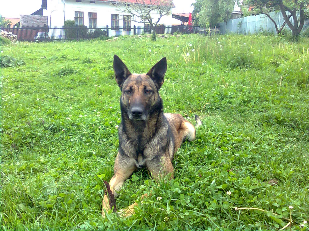 Obraz0107.jpg