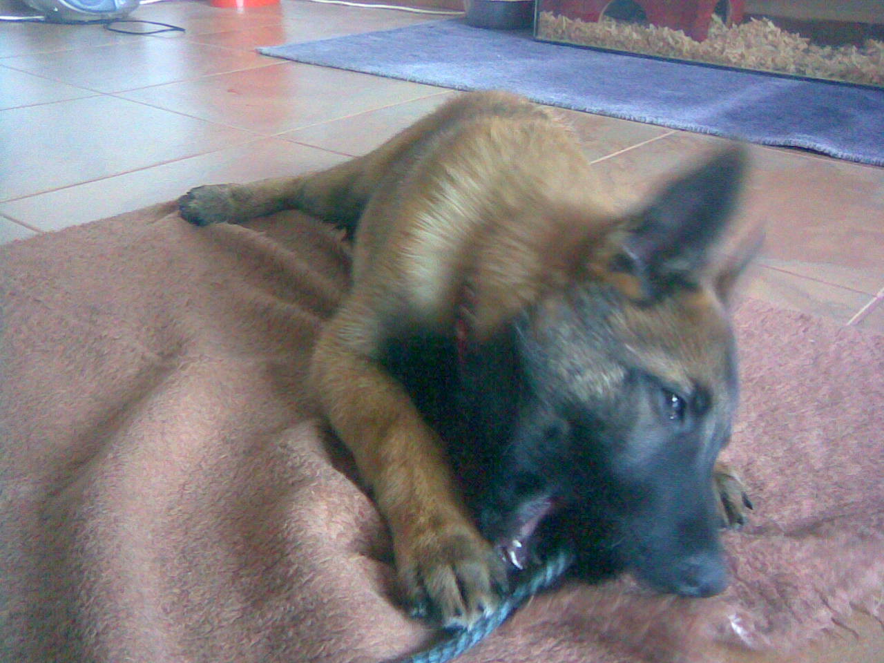 11102009(011).jpg